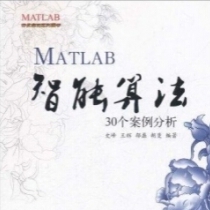 【[电子书】MATLAB智能算法30个案例分析