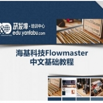 【限时折扣】海基科技Flowmaster中文基础视频教程